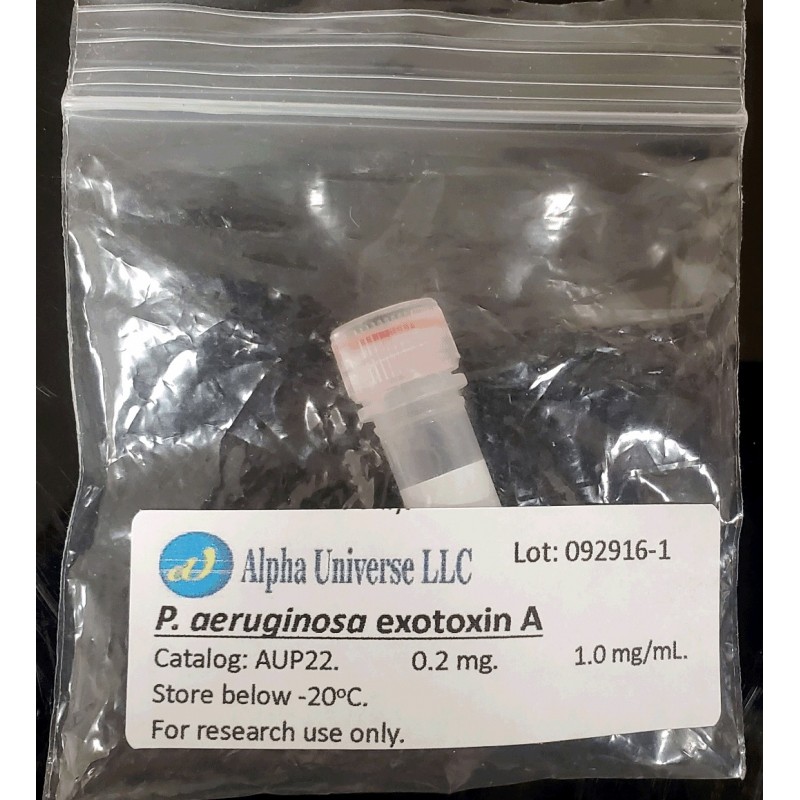 Pseudomonas aeruginosa exotoxin A