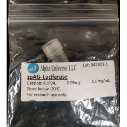 spAG-Luciferase