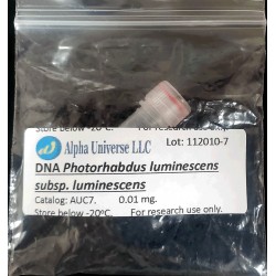 Photorhabdus luminescens...