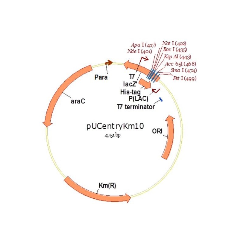 pUCentryKm10