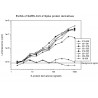 anti-Spike protein-luciferase conjugate