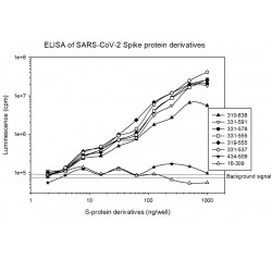 anti-Spike protein-luciferase conjugate