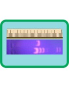 DNA Electrophoresis Markers